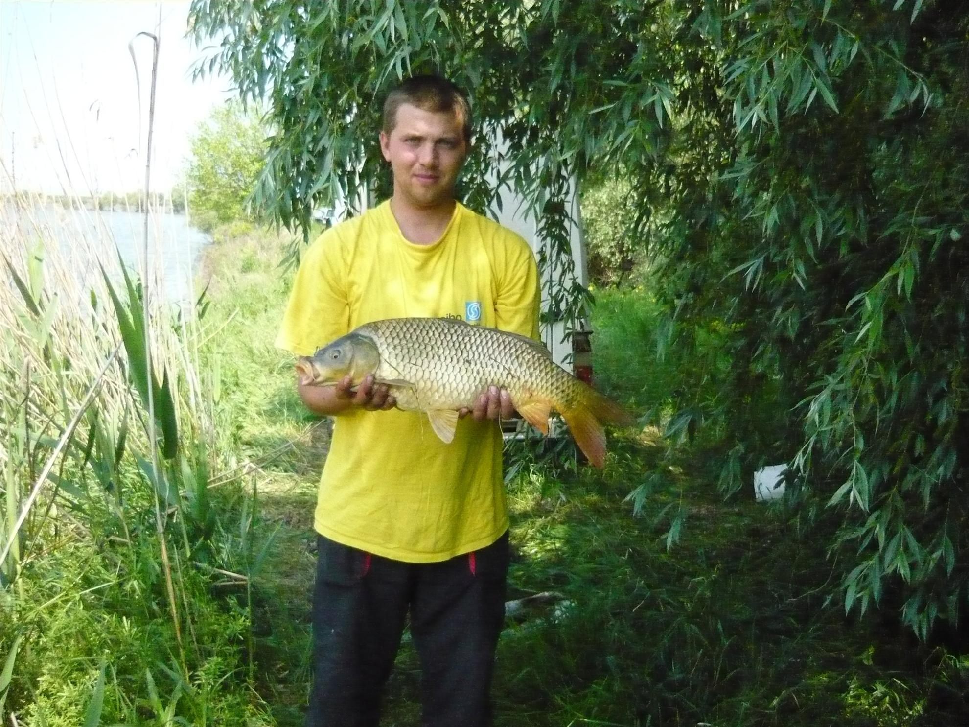 2013 - 1720431086381758800572643672o.jpg